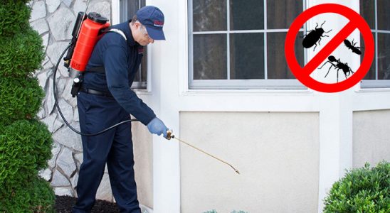 Susurluk Hamam Böceği İlaçlama böcek ilaçlama ve haşere kontrolü — ilaclama-tr.com